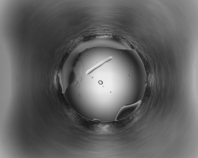 X0000096200570200801181343