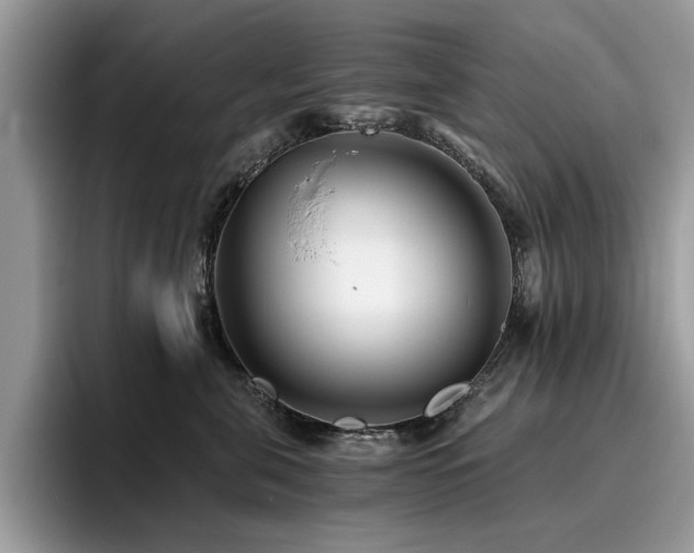 X0000096200571200801181343