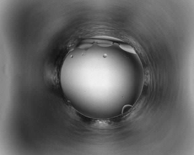 X0000096200573200801181343