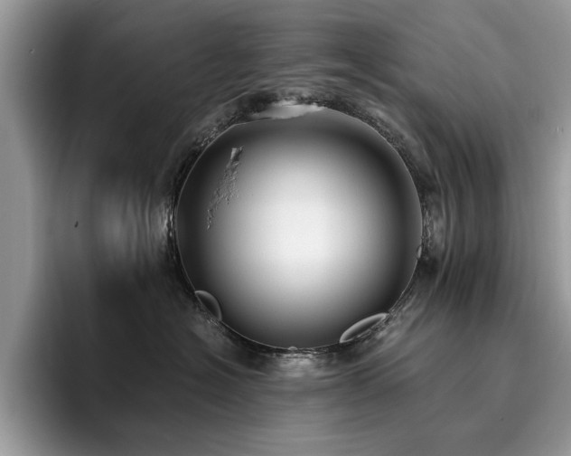 X0000096200574200801181343