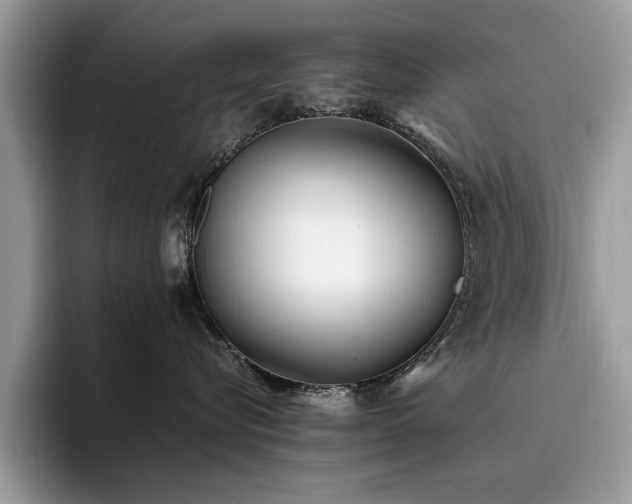 X0000096200576200801181343