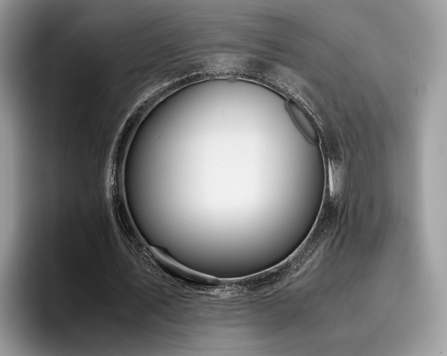X0000096200579200801181343
