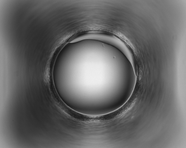 X0000096200581200801181343