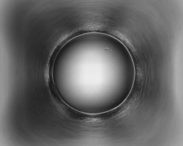 X0000096200582200801181343