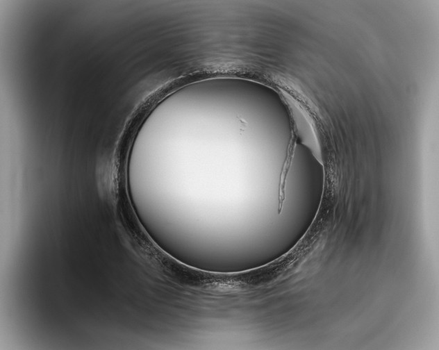 X0000096200583200801181343