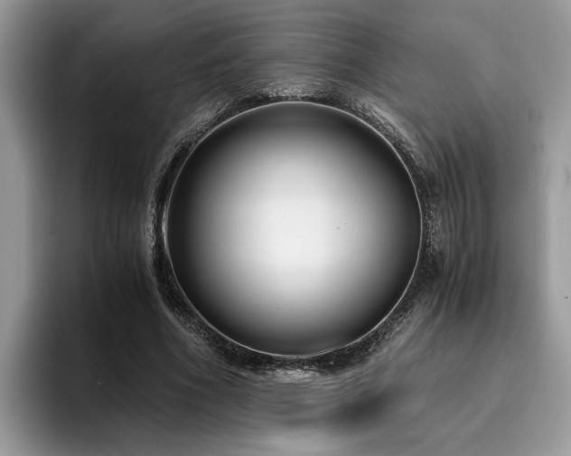 X0000096200586200801181343