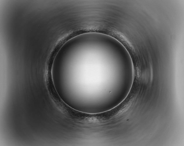 X0000096200588200801181343