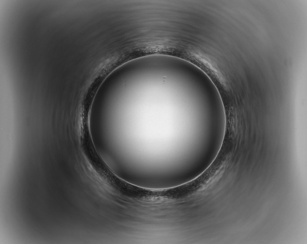 X0000096200590200801181342