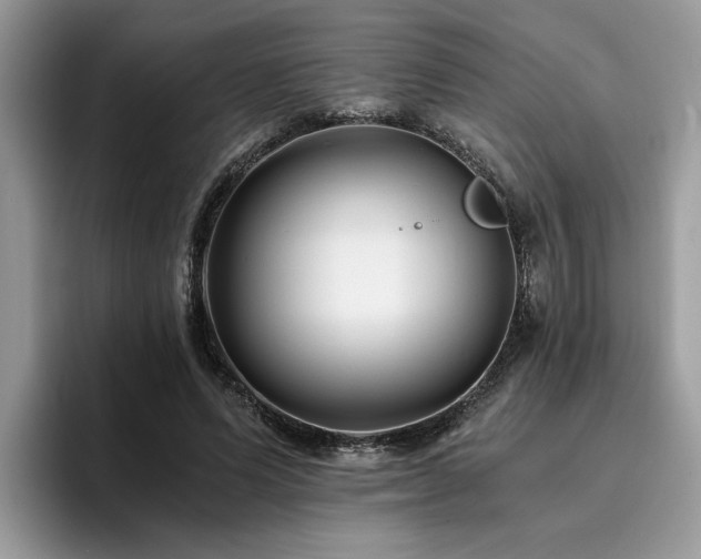 X0000096200591200801181342