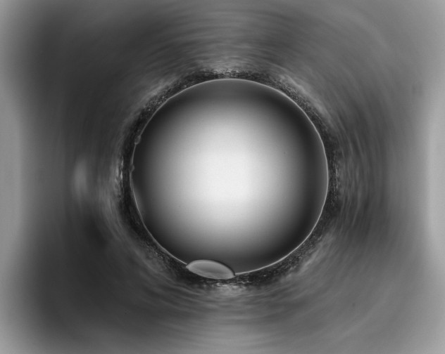 X0000096200592200801181342