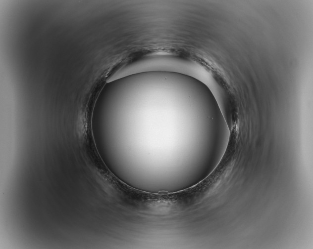 X0000096200593200801181342