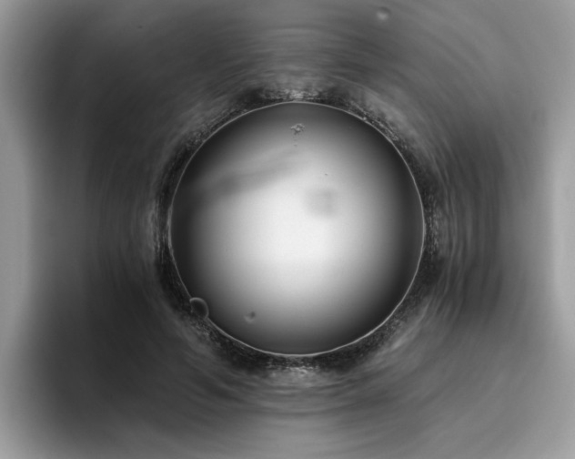 X0000096200594200801181342