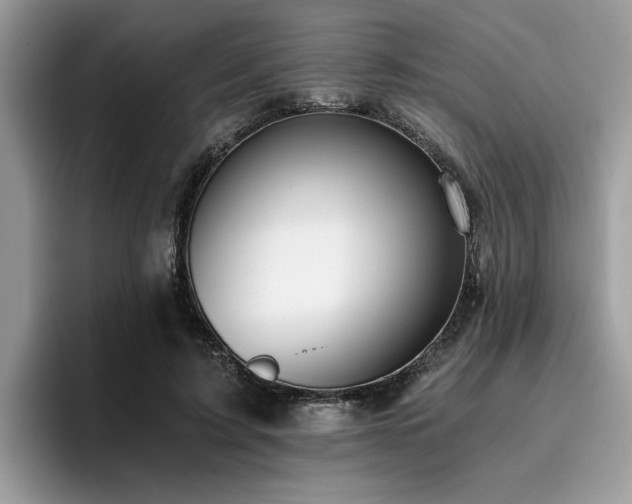 X0000096200595200801181342