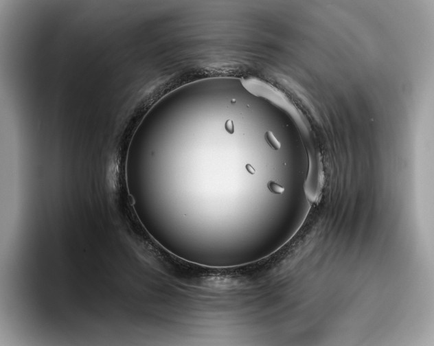 X0000096200596200801181342