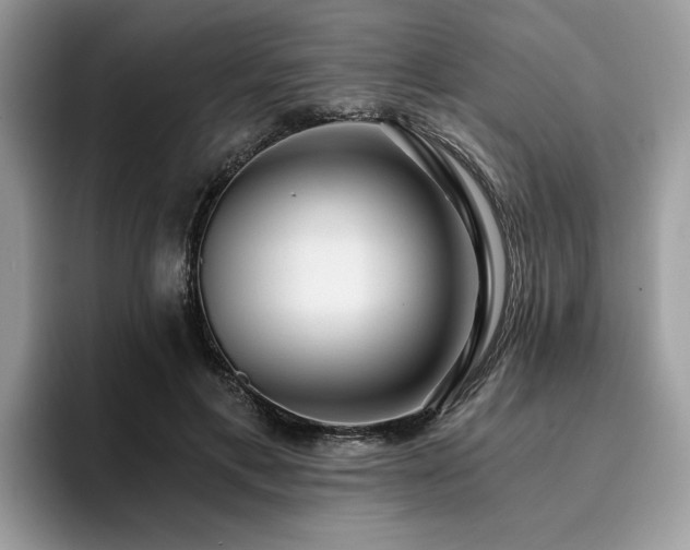 X0000096200597200801181342