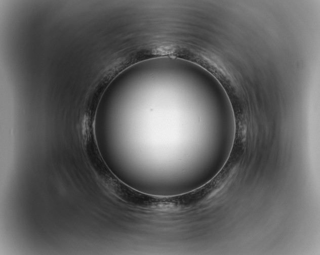 X0000096200598200801181342
