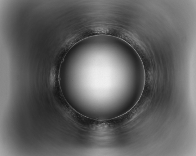X0000096200600200801181342