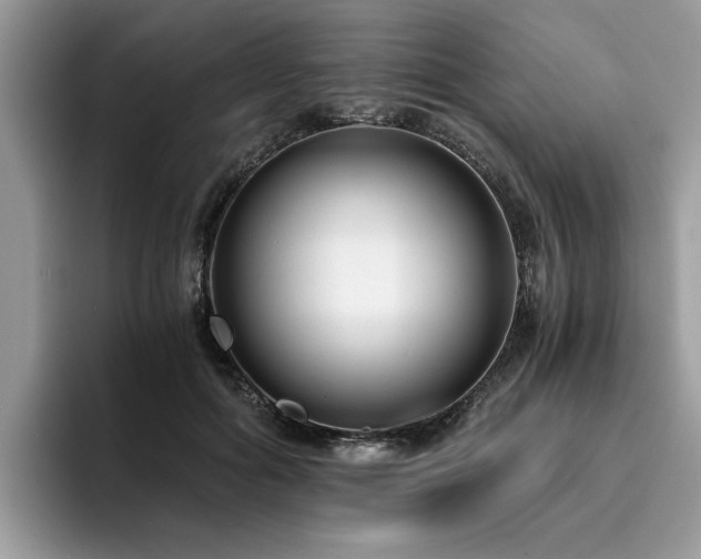 X0000096200602200801181342