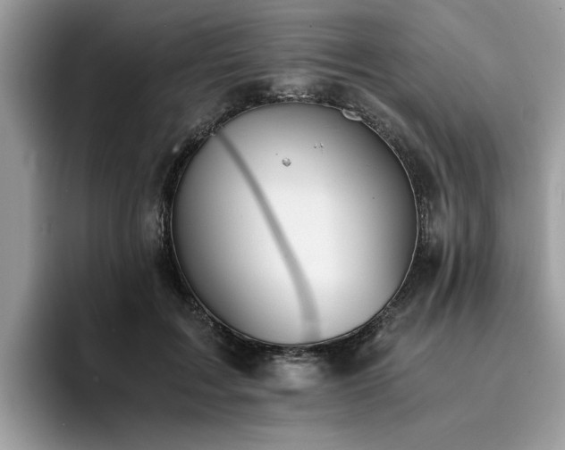 X0000096200603200801181342