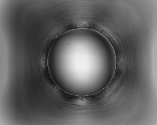 X0000096200604200801181342