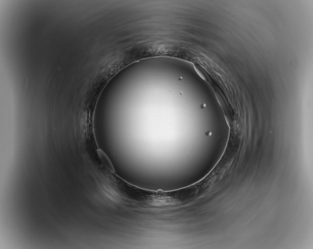 X0000096200605200801181342