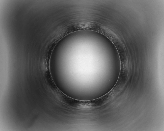 X0000096200606200801181342