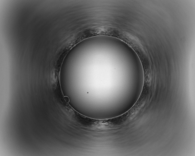 X0000096200607200801181342