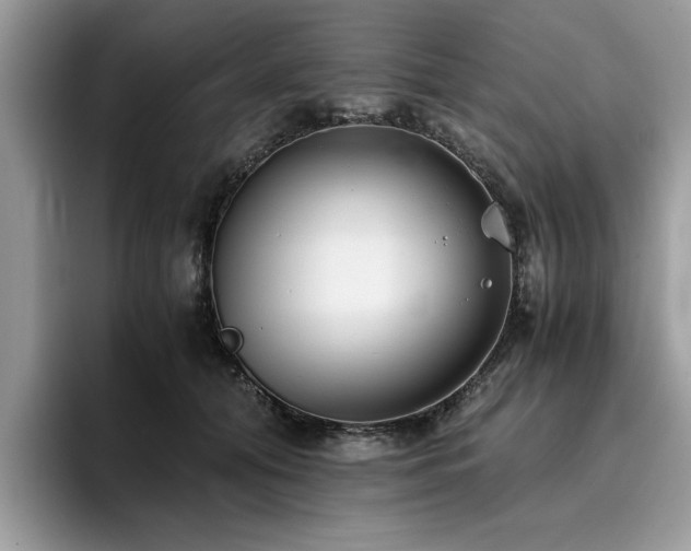 X0000096200608200801181342