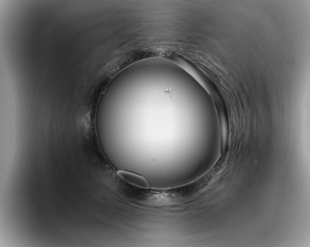 X0000096200611200801181342