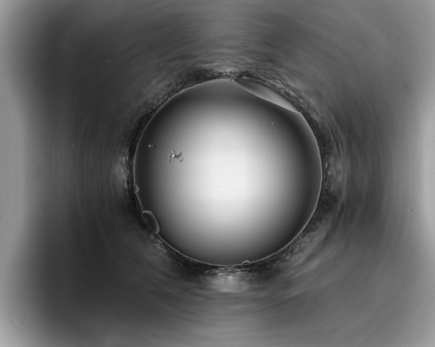 X0000096200612200801181342