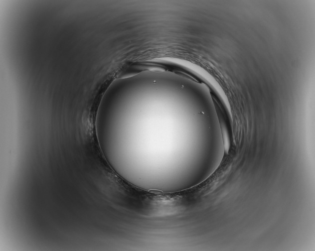 X0000096200613200801181342