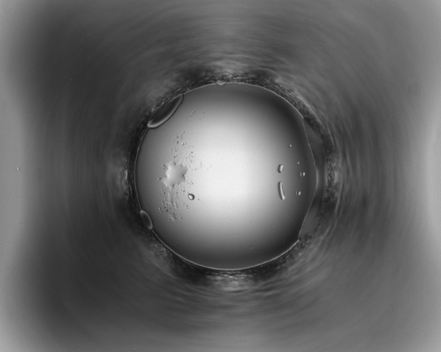 X0000096200615200801181342