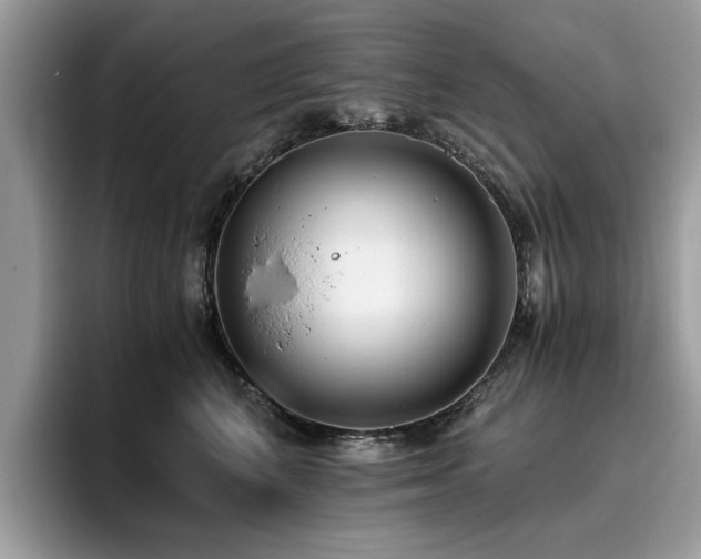 X0000096200616200801181342
