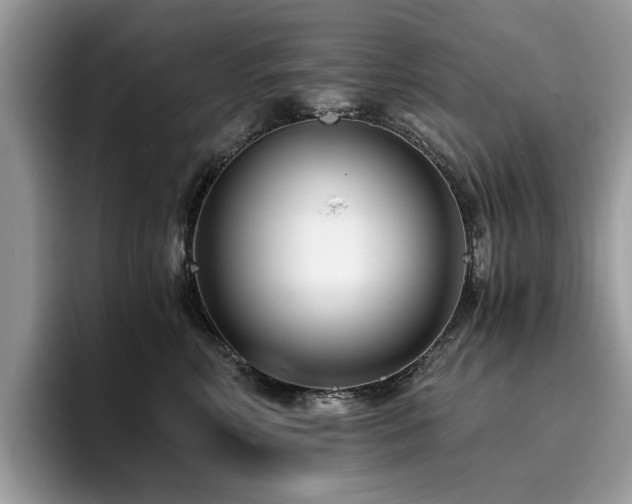 X0000096200618200801181342