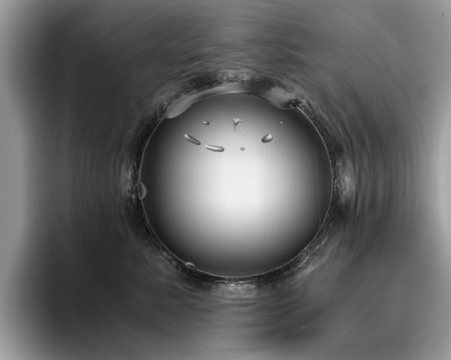 X0000096200619200801181342