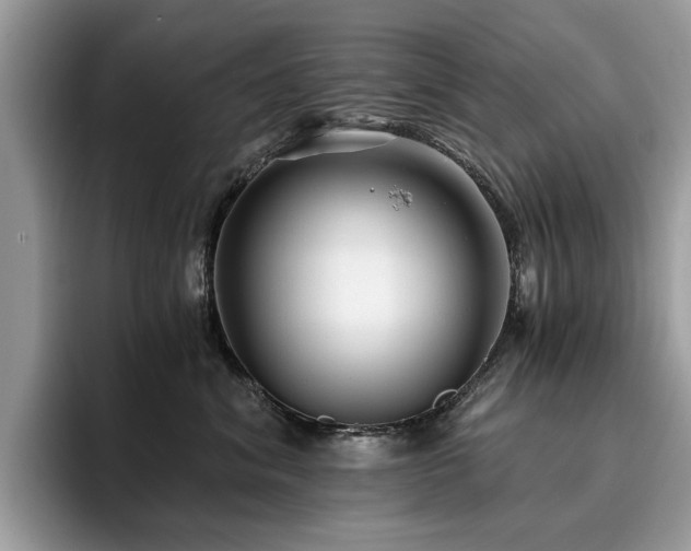 X0000096200620200801181342