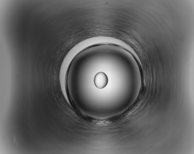 X0000096200621200801181342