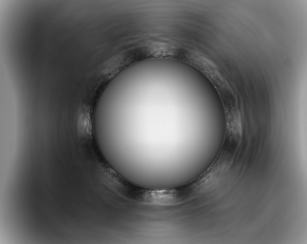 X0000096200622200801181342