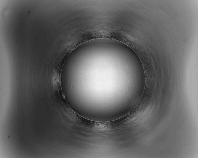 X0000096200624200801181342