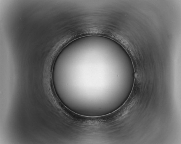 X0000096200625200801181341