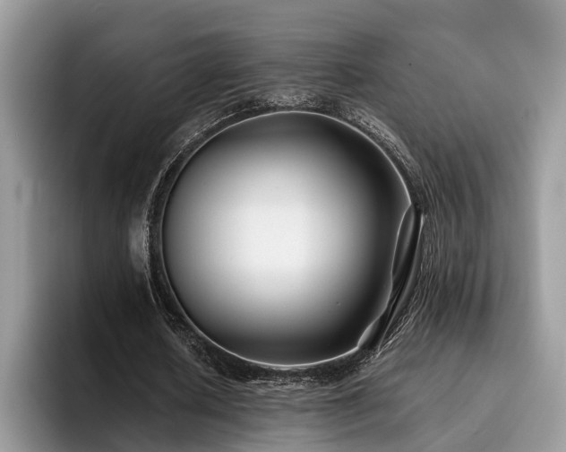 X0000096200626200801181341