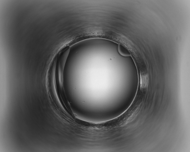 X0000096200627200801181341