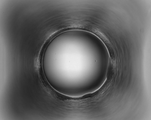 X0000096200628200801181341