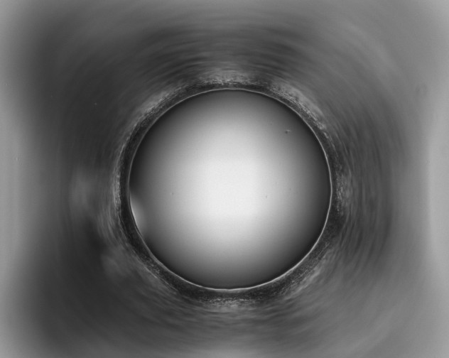 X0000096200629200801181341