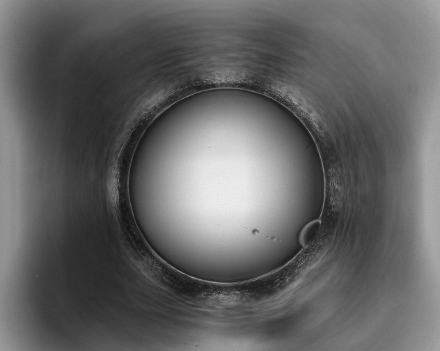 X0000096200631200801181341