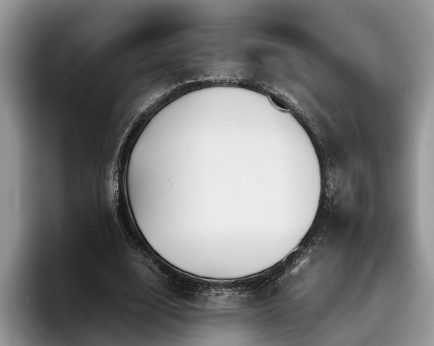 X0000096200632200801181342