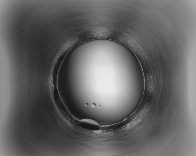 X0000096200634200801181342