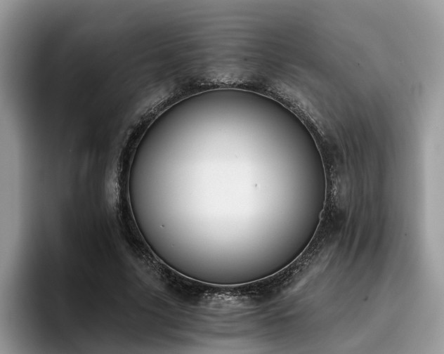 X0000096200635200801181342