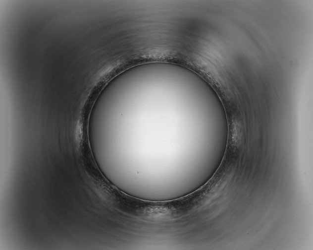 X0000096200636200801181342