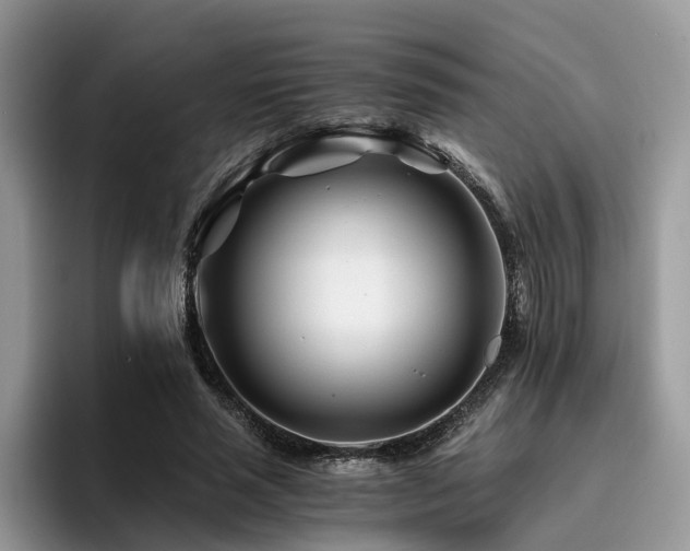 X0000096200637200801181342